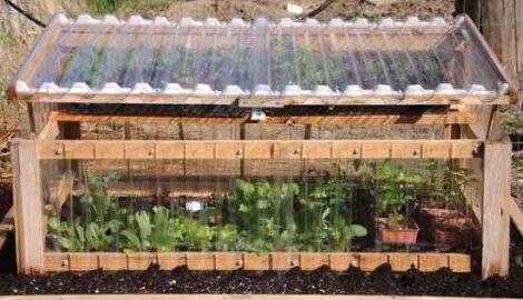 Cool Tools for Wiser Living: A Cedar Cold Frame, Tripod Ladder and More Image